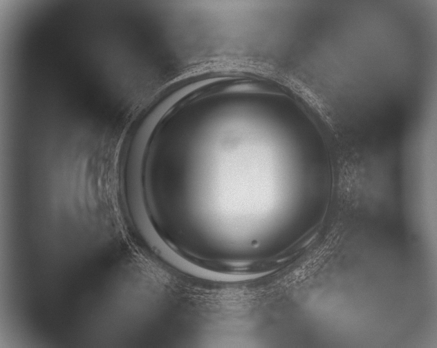 X0000052020836200507181624.png