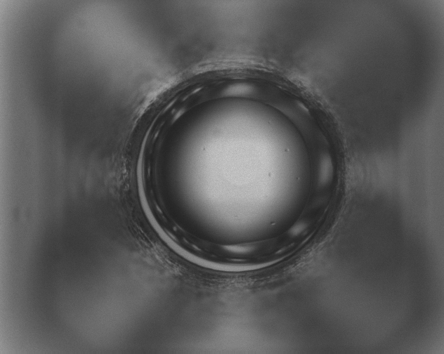X0000040561210200411021419.png