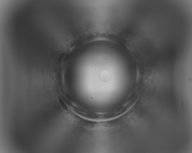 X0000054930574200508291635.png
