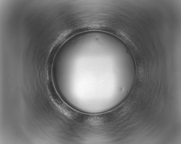 X0000055060734200508161645.png