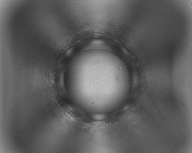 X0000052150239200507051959.png