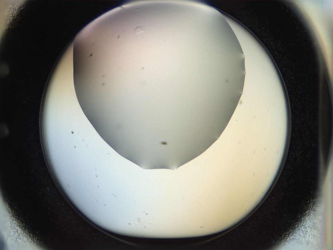 056c_E9_ImagerDefaults_0.jpg