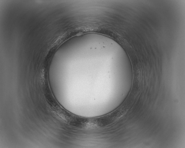 X0000055210308200508301329.png