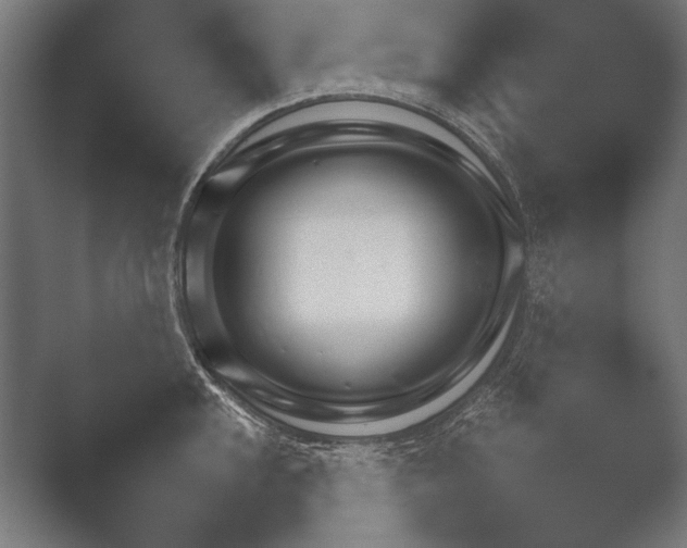 X0000051111048200507141751.png
