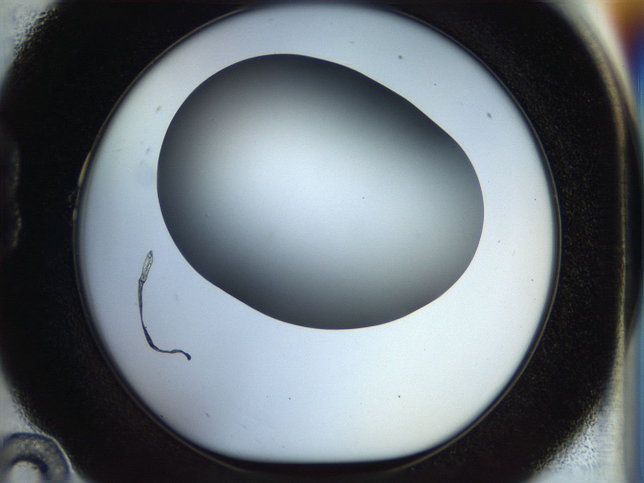 056c_B10_ImagerDefaults_0.jpg