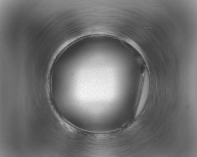 X0000054331144200508111912.png