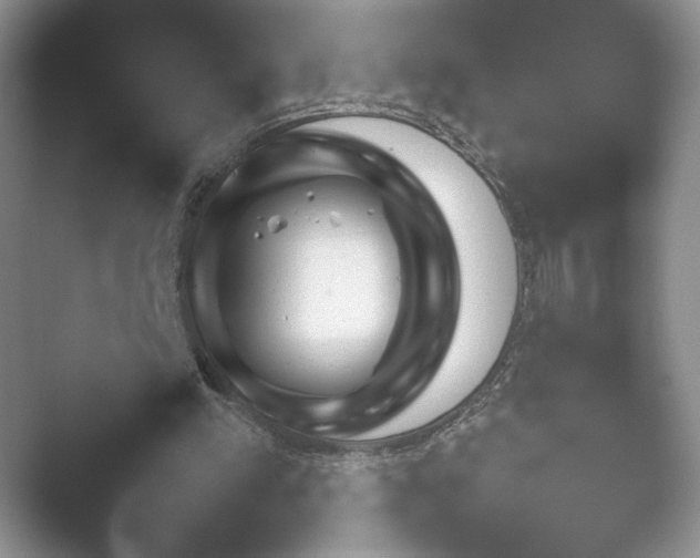 X0000052450197200507211323.png