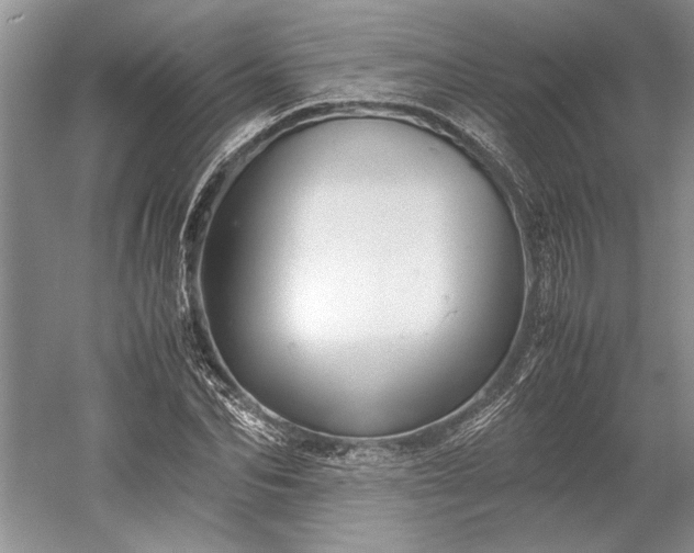 X0000055060974200508161641.png
