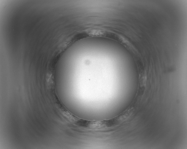 X0000054330521200508111922.png