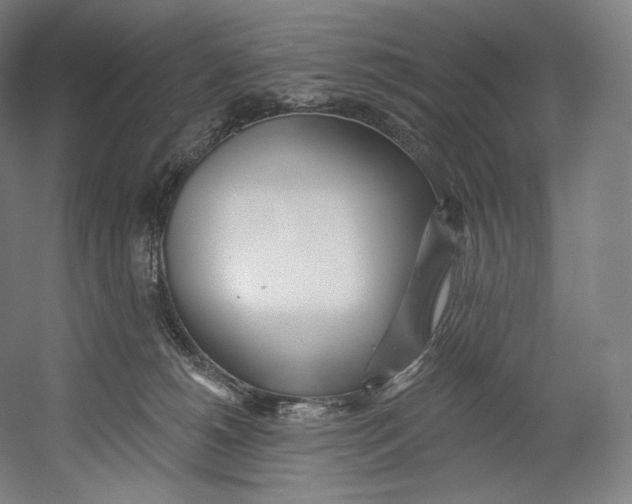 X0000055210180200508301331.png