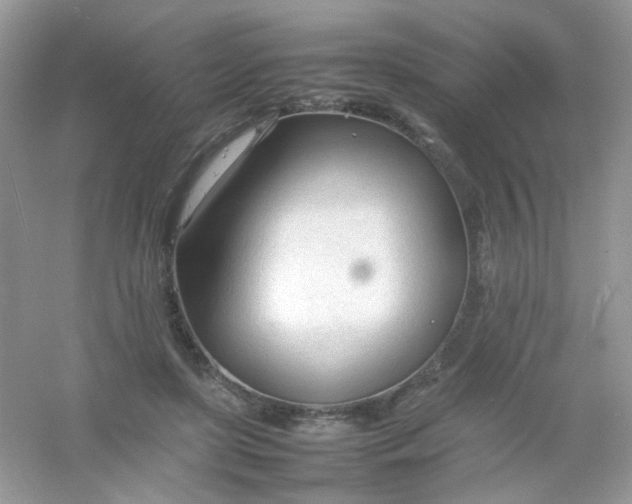 X0000054330451200508111923.png