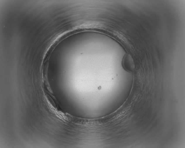 X0000055210934200508301318.png