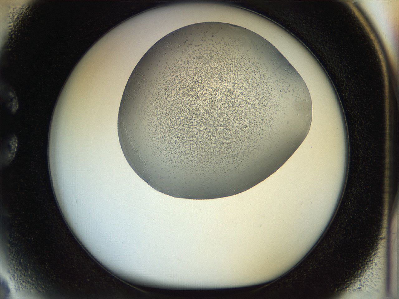 056c_C3_ImagerDefaults_3.jpg