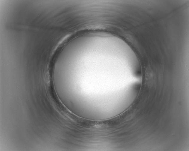 X0000054330584200508111921.png