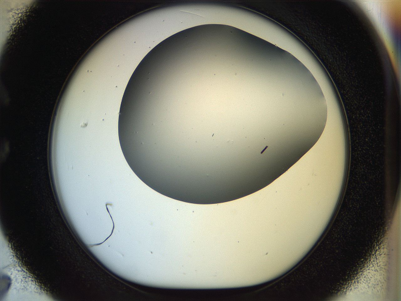 056c_C7_ImagerDefaults_1.jpg
