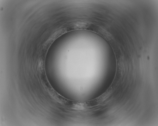 X0000054650079200508091652.png