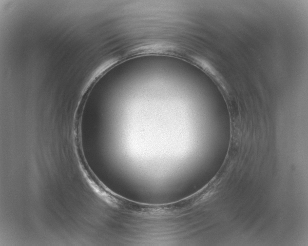 X0000054331042200508111914.png