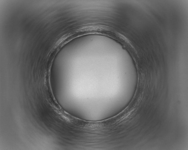 X0000055210778200508301321.png