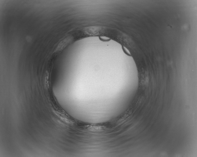 X0000055210332200508301328.png