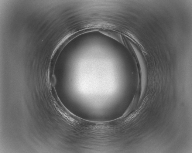 X0000055060788200508161644.png