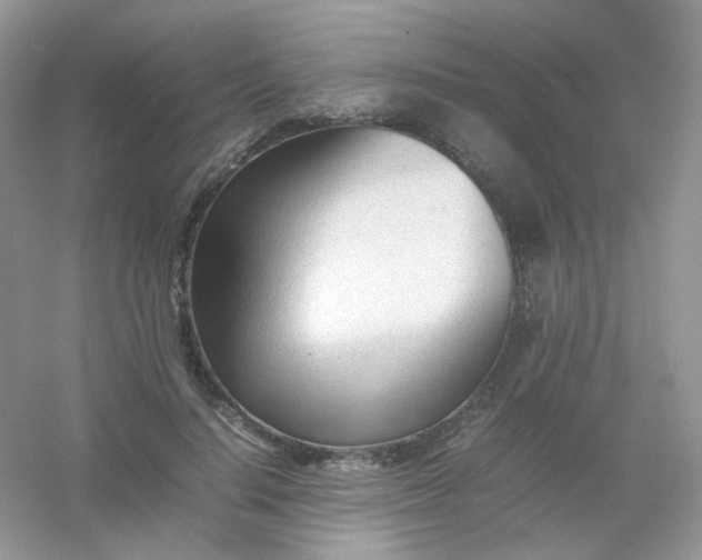 X0000054330644200508111920.png