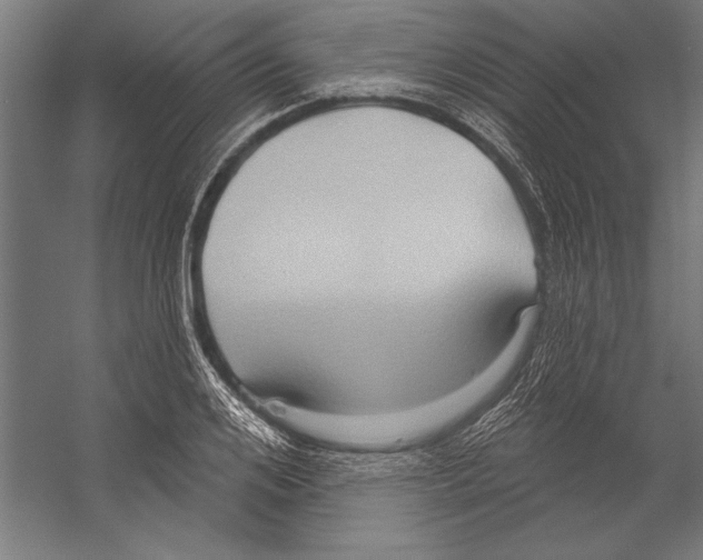 X0000055250984200509071611.png