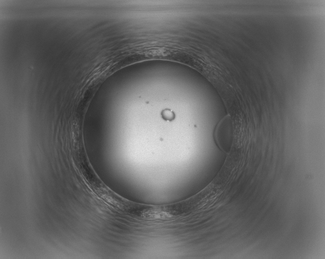 X0000055210747200508301321.png