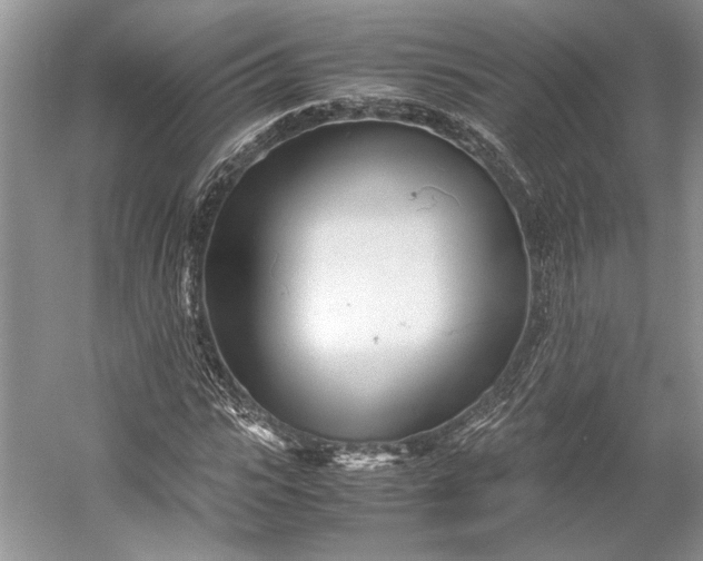 X0000055060919200508161641.png