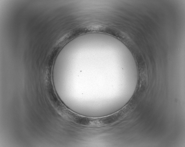 X0000054330591200508111921.png