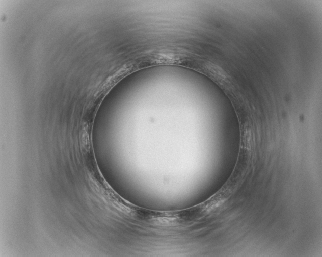 X0000055070318200508232335.png