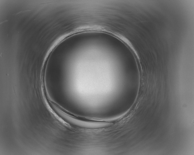 X0000055211389200508301310.png