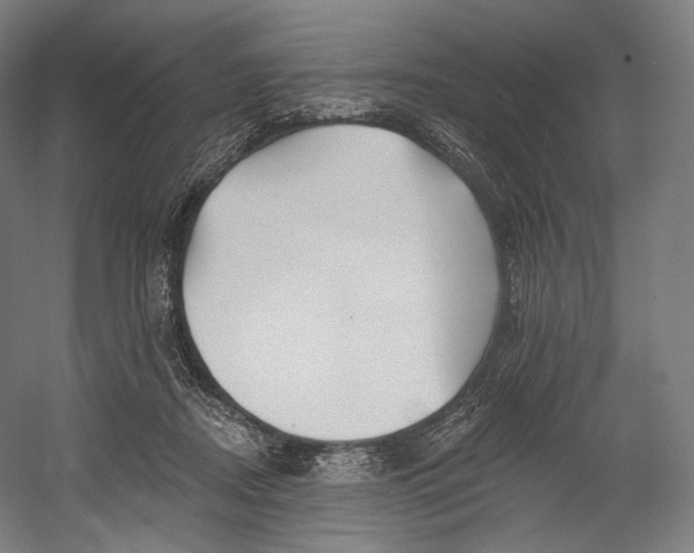 X0000055210362200508301328.png