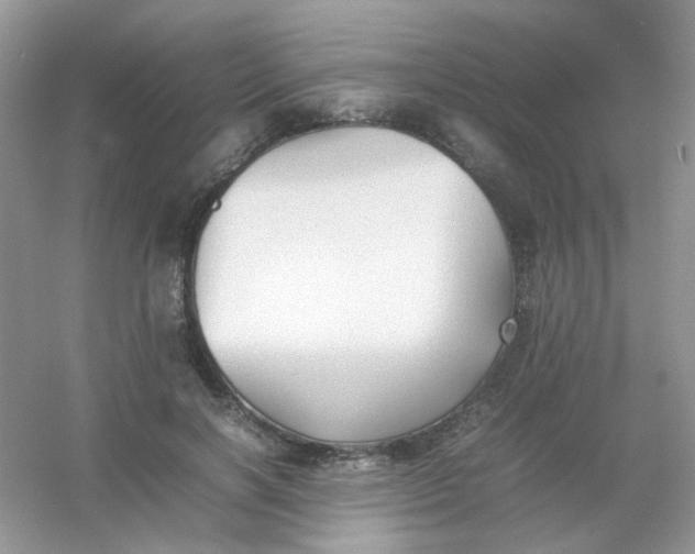 X0000054330646200508111920.png