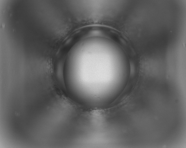 X0000054730126200508171902.png