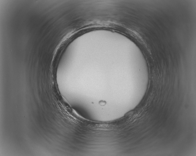 X0000055251172200509071607.png