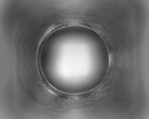 X0000055060195200508161654.png