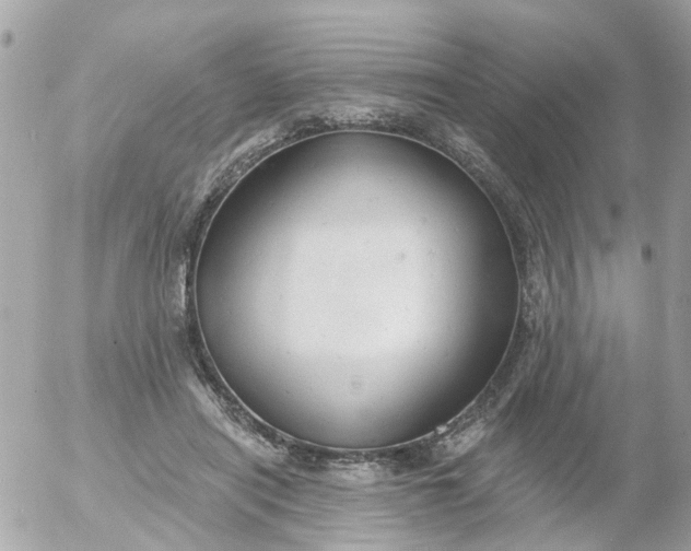 X0000055070454200508232333.png
