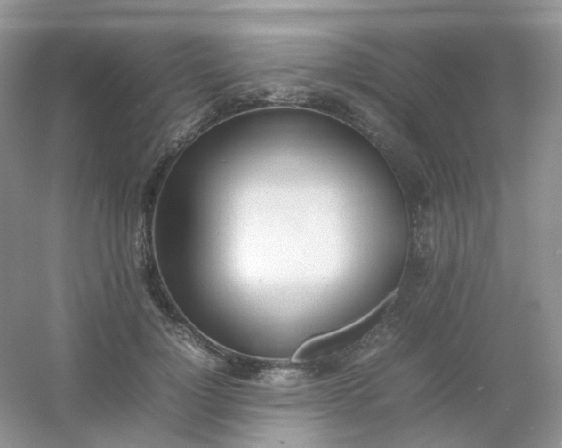 X0000054330748200508111918.png
