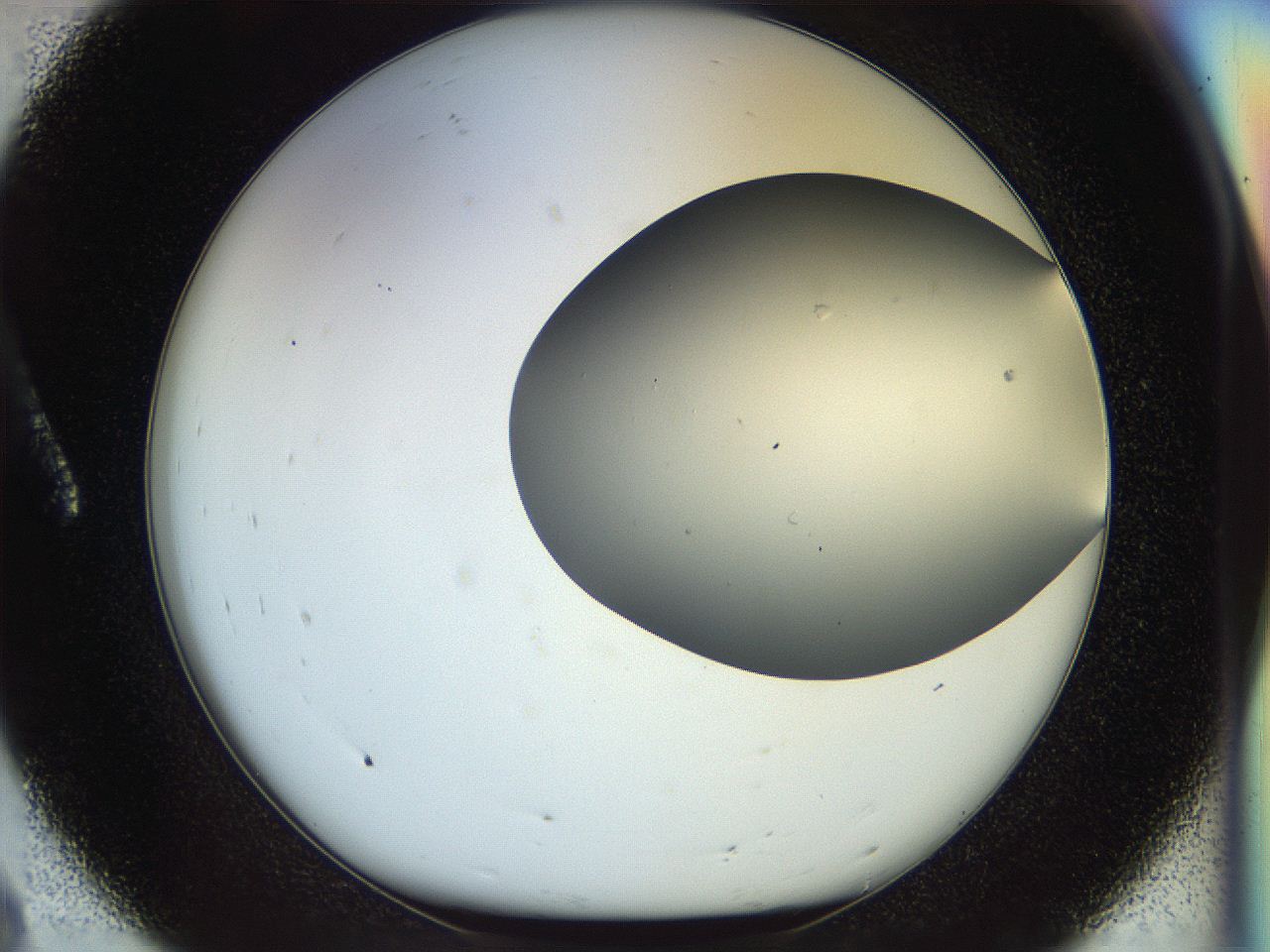 056c_A8_ImagerDefaults_0.jpg