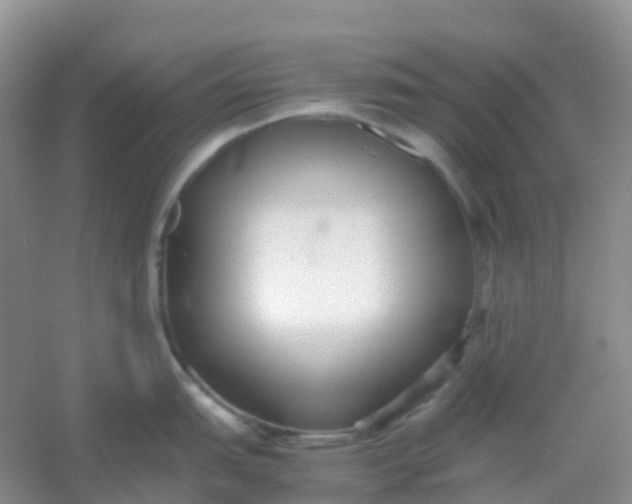 X0000054331151200508111912.png