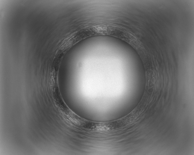 X0000055060702200508161646.png