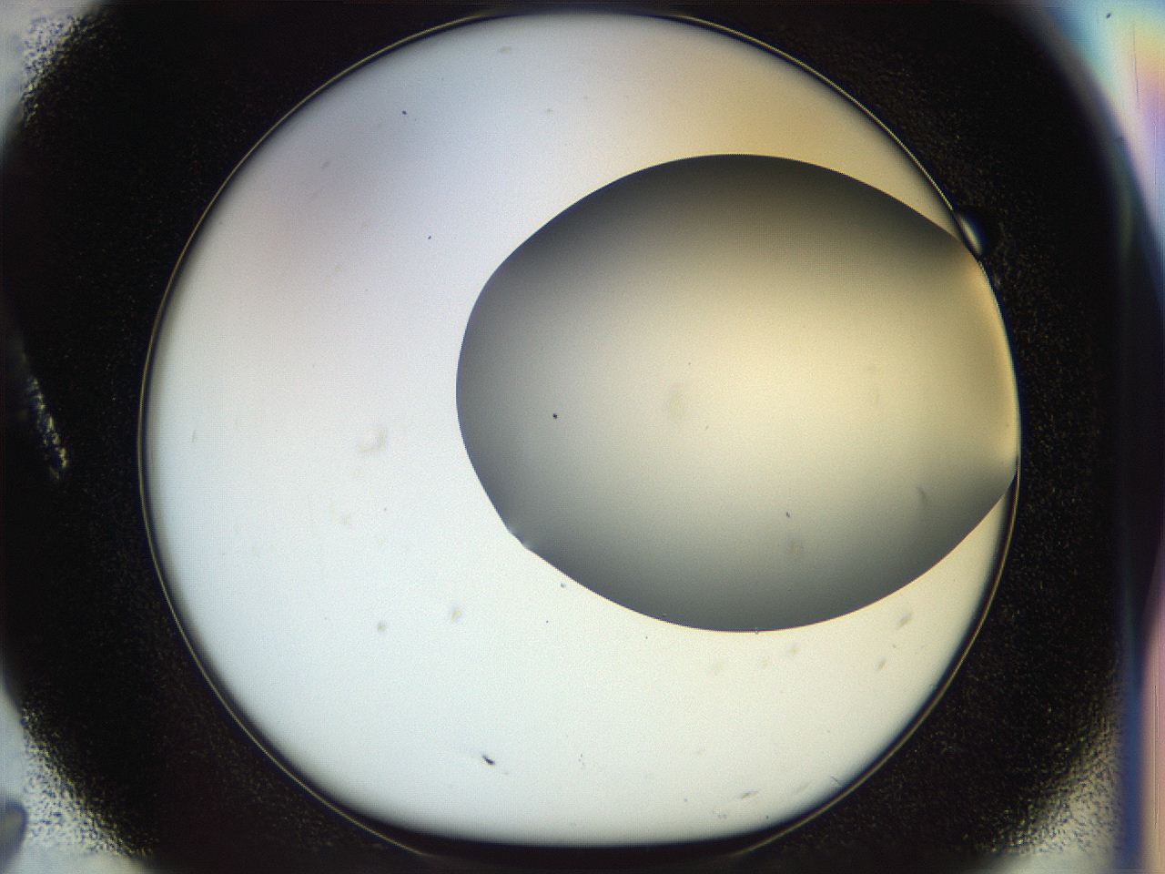 056c_A7_ImagerDefaults_0.jpg