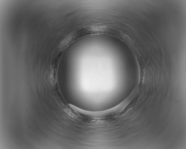 X0000055060428200508161650.png