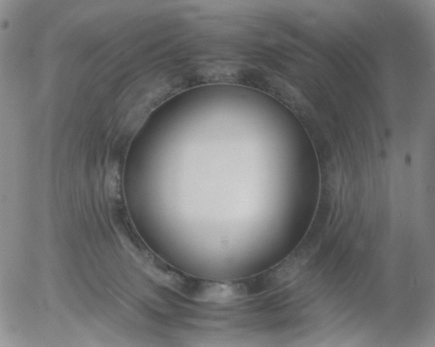 X0000054650083200508091652.png
