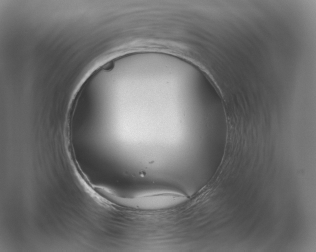 X0000055211531200508301308.png