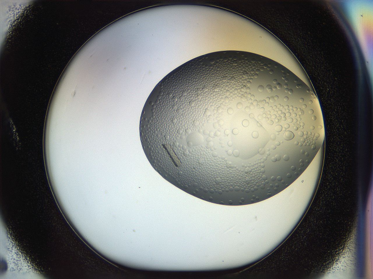 056c_A5_ImagerDefaults_9.jpg
