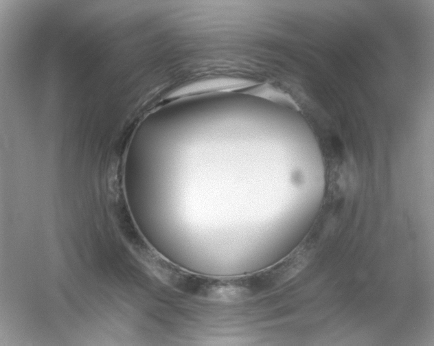 X0000054330360200508111925.png