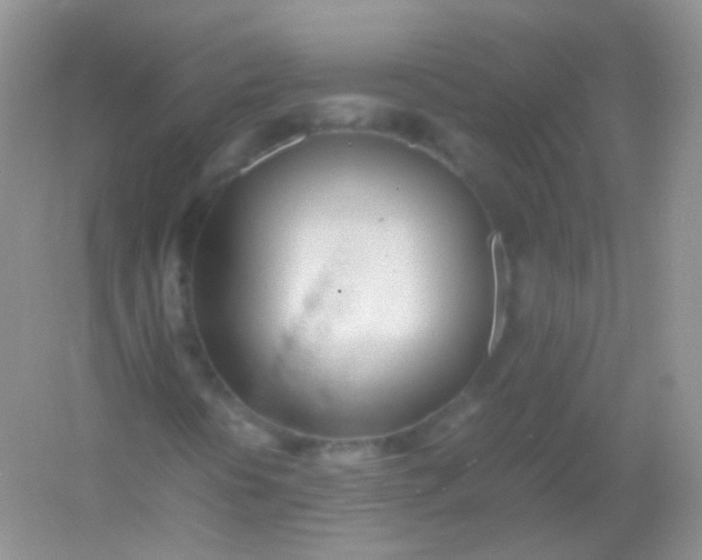 X0000054331394200508111906.png
