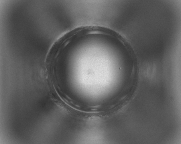 X0000054110974200508022054.png