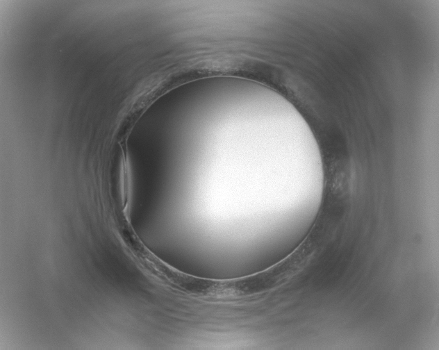 X0000054330685200508111919.png